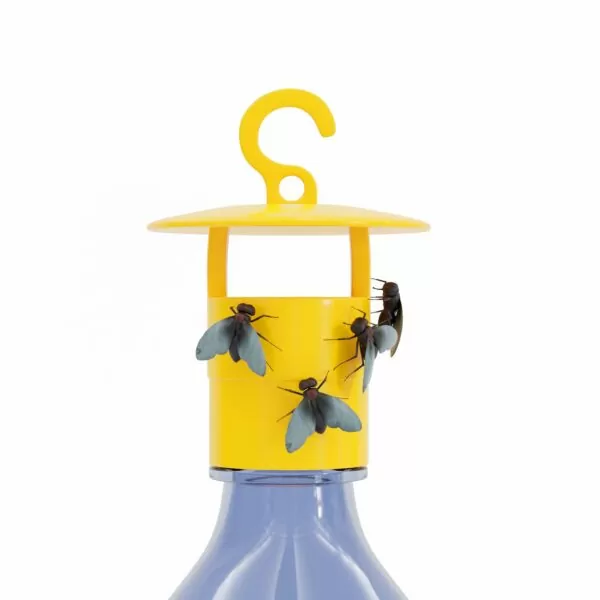 «Die Gelbe» Insektenfalle 5 Stk – Bild 2